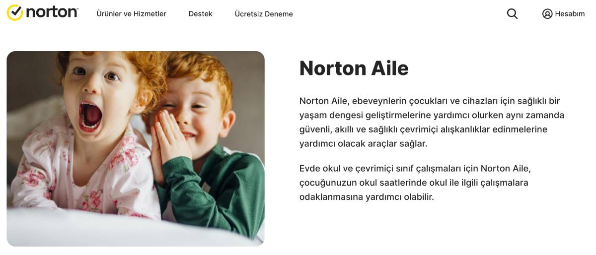 norton aile