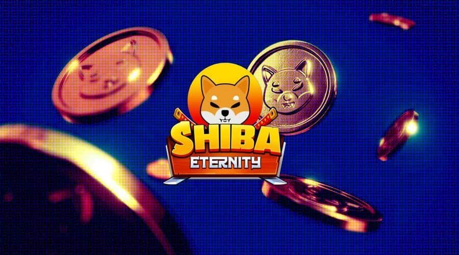 Shiba Eternity Turnuvalarına Katılma