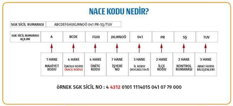 NACE Kodu nedir?