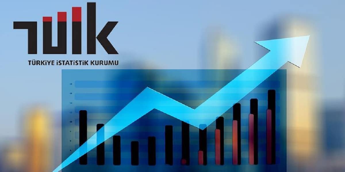 Türkiye İstatistik Kurumu (TÜİK) Websitesi Kod Sorgulama