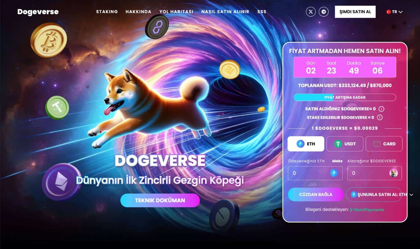 Dogeverse Nasıl Satın Alınır?