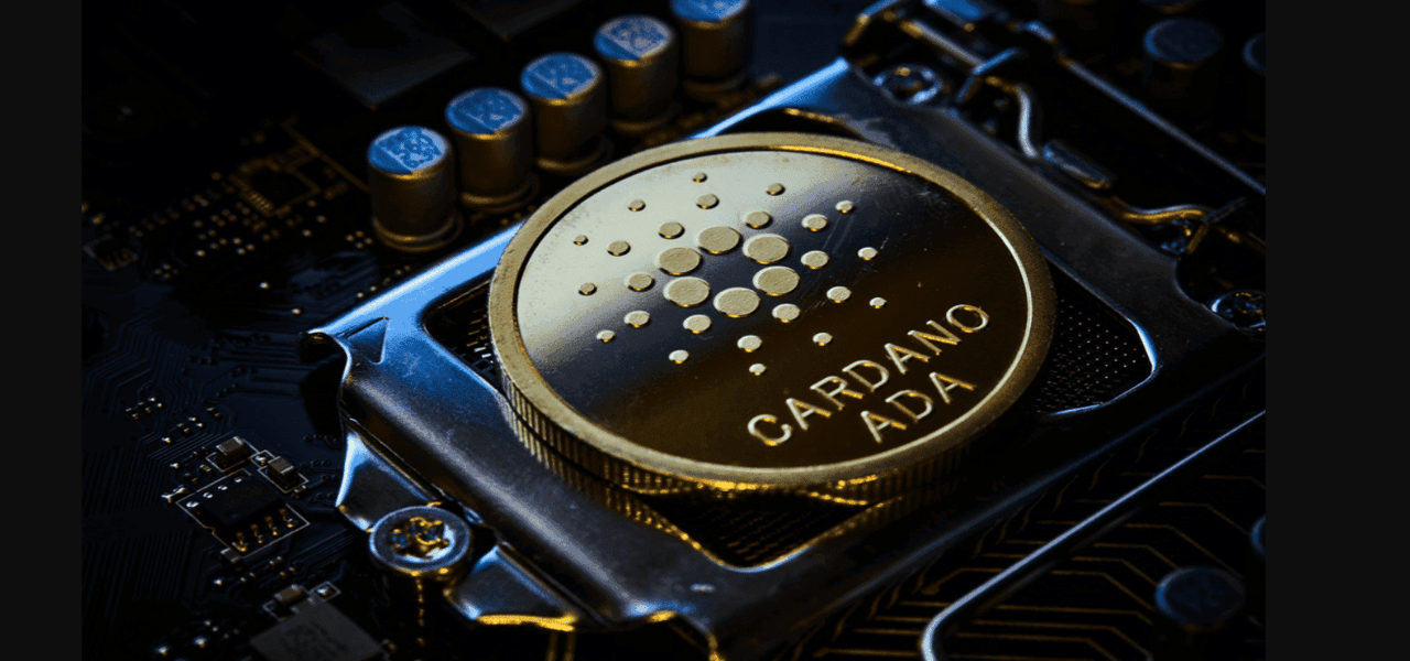 cardano