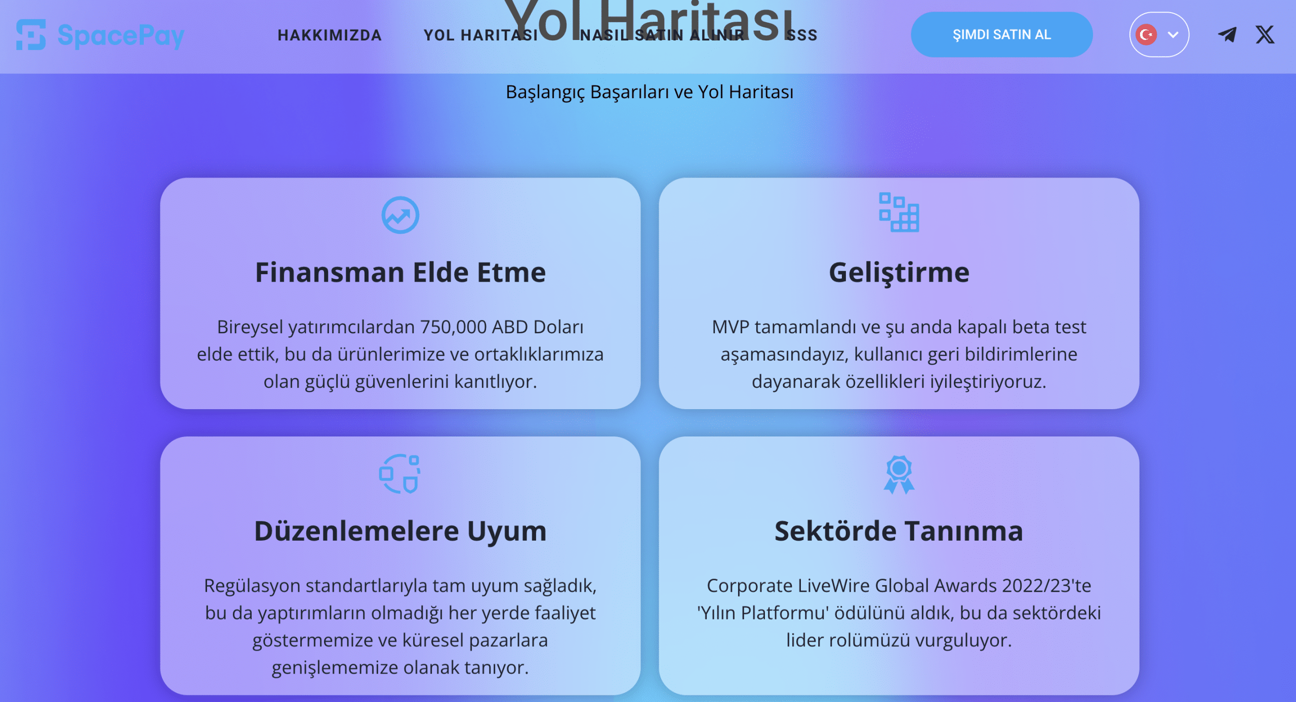 spacepay yol haritası