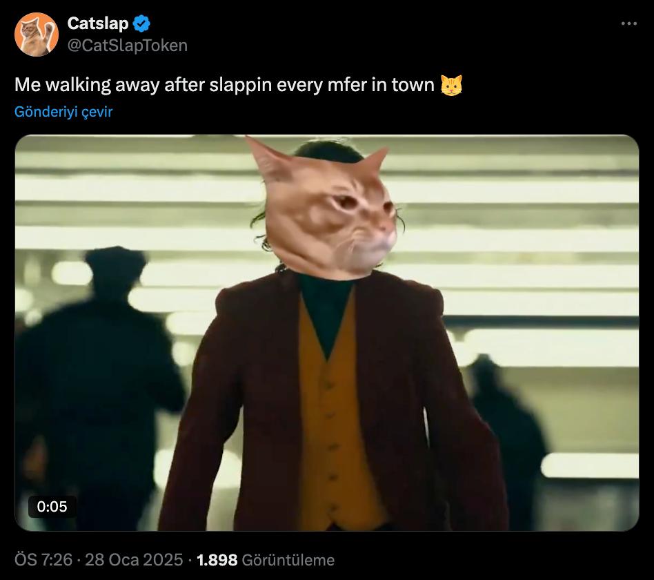 catslap twitter